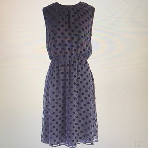 NWT J.Crew velvet polka dot dress